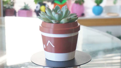 Coffee Cup Planter & Pen Holder