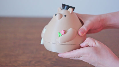 Graduation Bear Gift Capsule