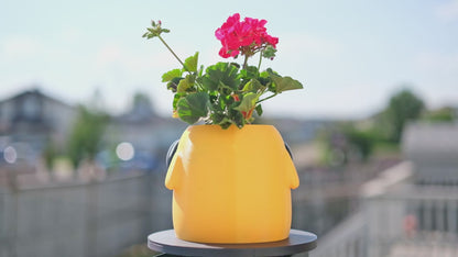 Jake the Dog Plant Pot