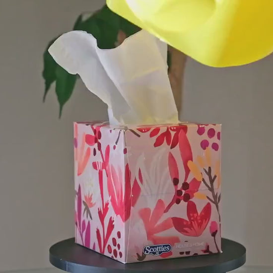 The Build Plate store duck facial tissue box cover