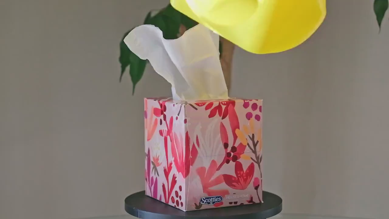 The Build Plate store duck facial tissue box cover