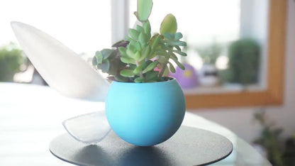 Navi Fairy Planter