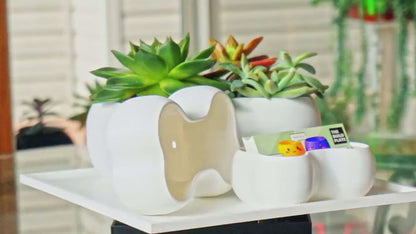 Bone Shaped Planter