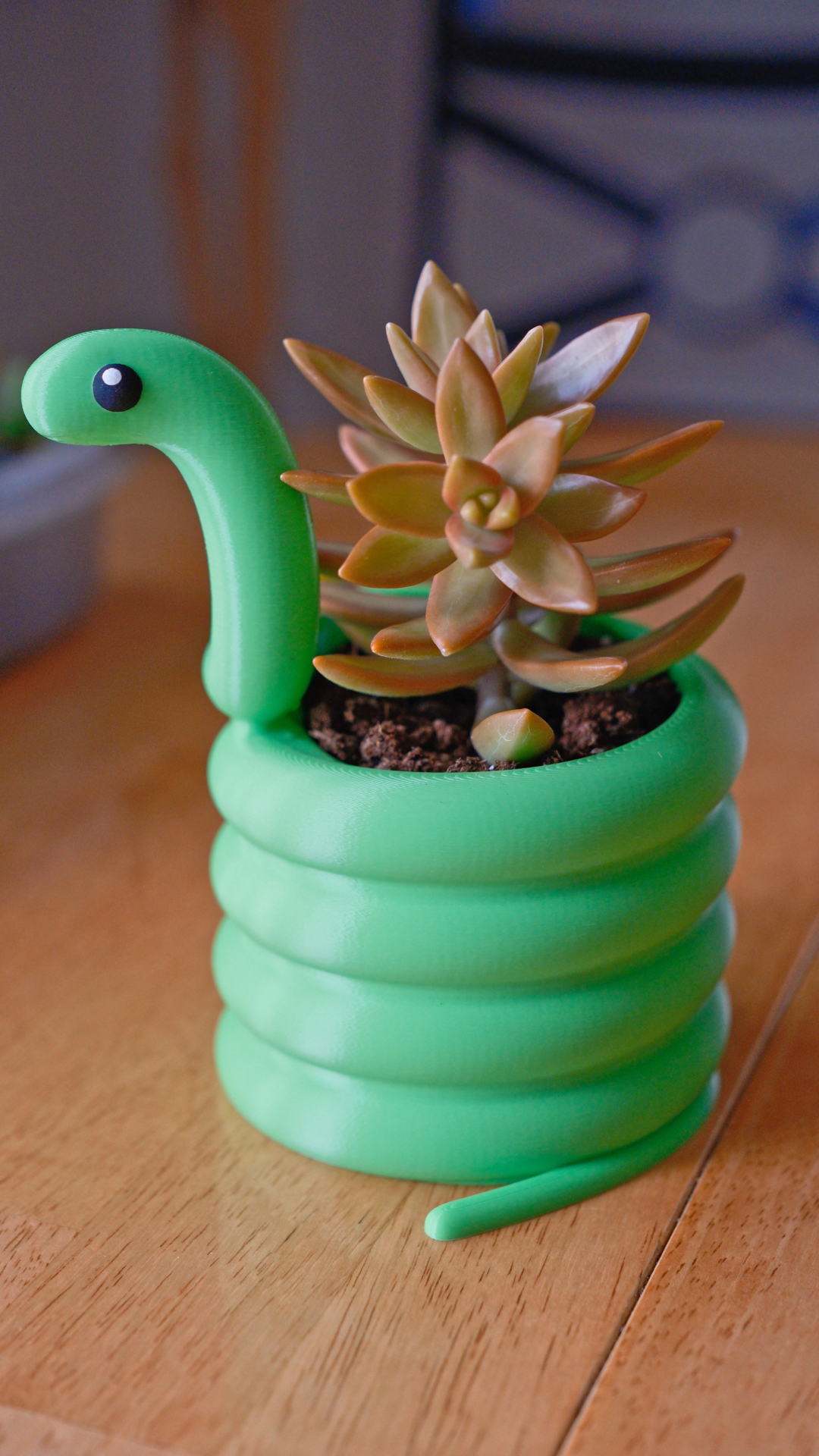 Snake Planter & Pen Pencil Holder