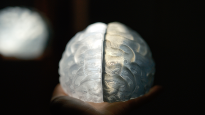 Split Brain LED Light