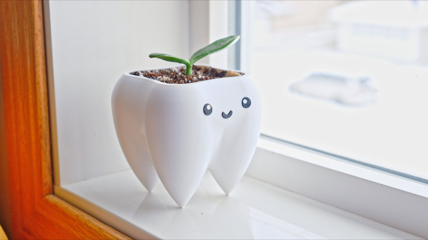 Tooth Planter & Pen Holder