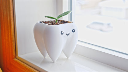 Tooth Planter & Pen Holder