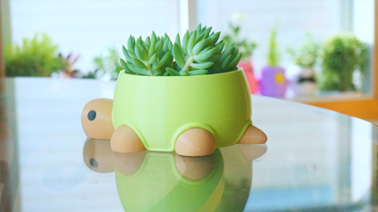 Turtle Planter / Stationery Organizer