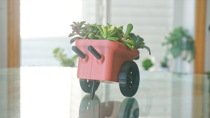 Wheelbarrow Planter